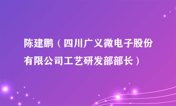陈建鹏（四川广义微电子股份有限公司工艺研发部部长）