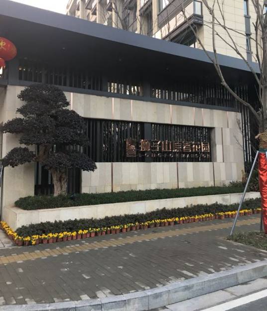 龙湖狮山原著