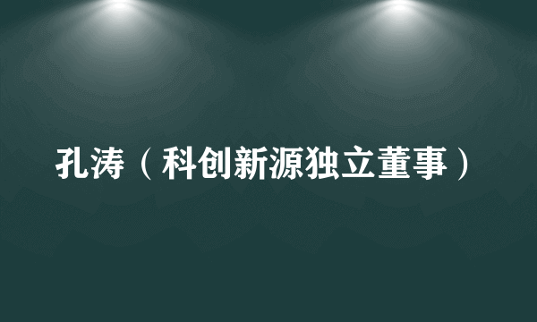 孔涛（科创新源独立董事）