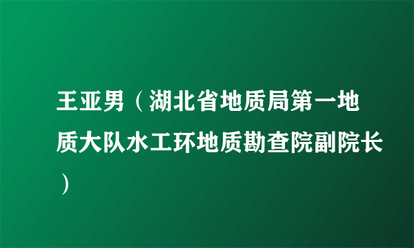王亚男（湖北省地质局第一地质大队水工环地质勘查院副院长）