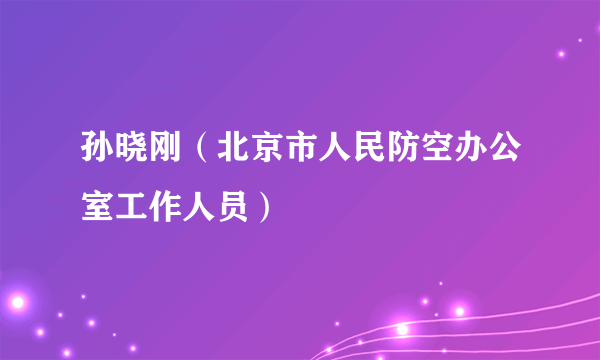 孙晓刚（北京市人民防空办公室工作人员）
