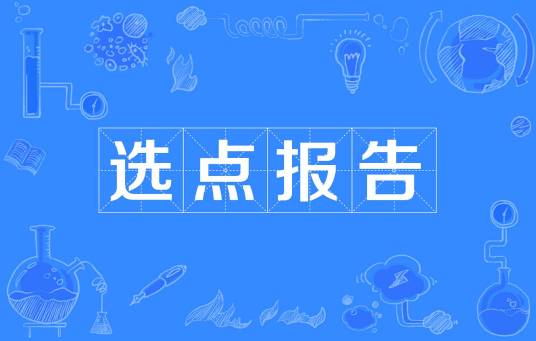 选点报告