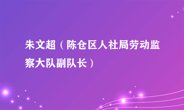 朱文超（陈仓区人社局劳动监察大队副队长）