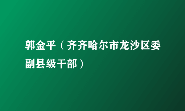 郭金平（齐齐哈尔市龙沙区委副县级干部）