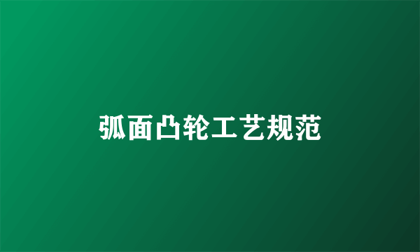 弧面凸轮工艺规范