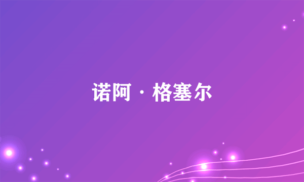 诺阿·格塞尔