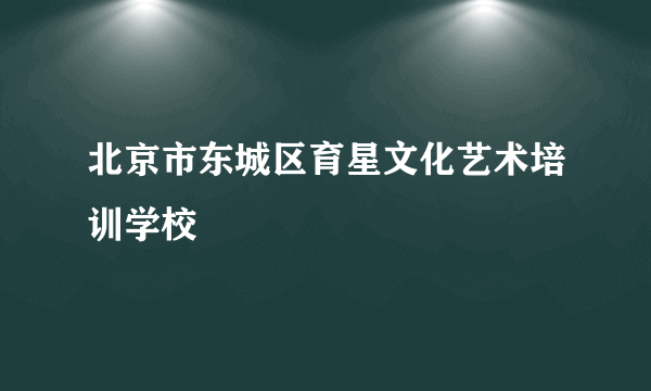 北京市东城区育星文化艺术培训学校