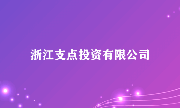 浙江支点投资有限公司