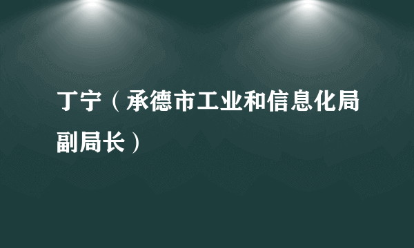 丁宁（承德市工业和信息化局副局长）