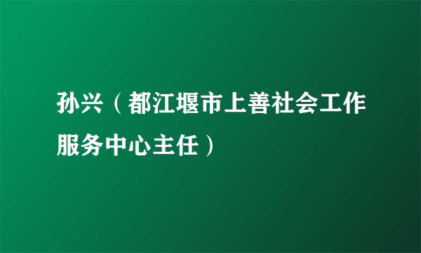 孙兴（都江堰市上善社会工作服务中心主任）