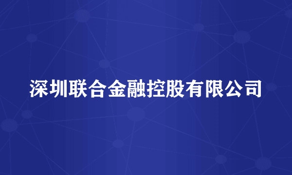 深圳联合金融控股有限公司