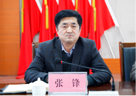 张锋（陕西省铜川市印台区政府原副区长）