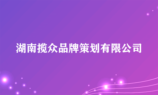 湖南揽众品牌策划有限公司