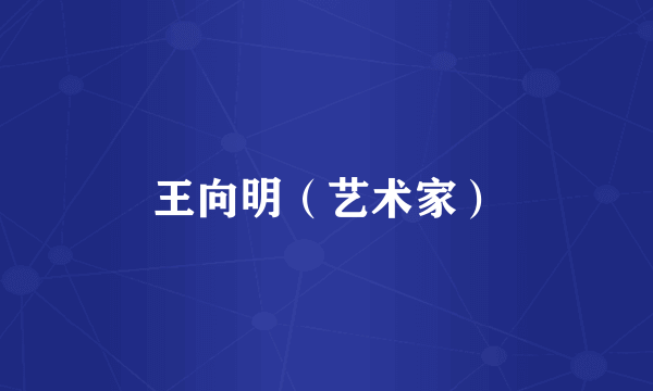 王向明（艺术家）