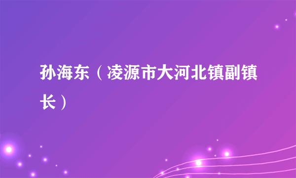 孙海东（凌源市大河北镇副镇长）