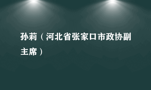 孙莉（河北省张家口市政协副主席）