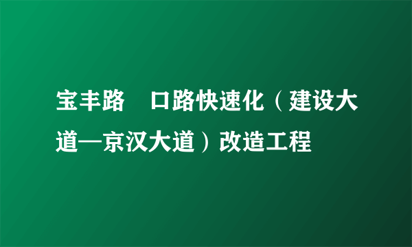 宝丰路硚口路快速化（建设大道—京汉大道）改造工程