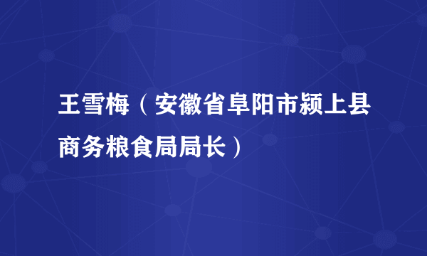 王雪梅（安徽省阜阳市颍上县商务粮食局局长）