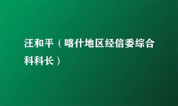 汪和平（喀什地区经信委综合科科长）