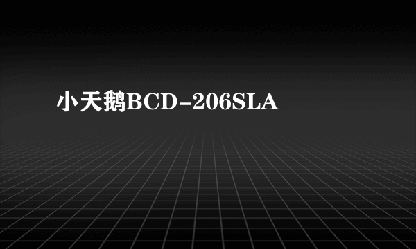 小天鹅BCD-206SLA