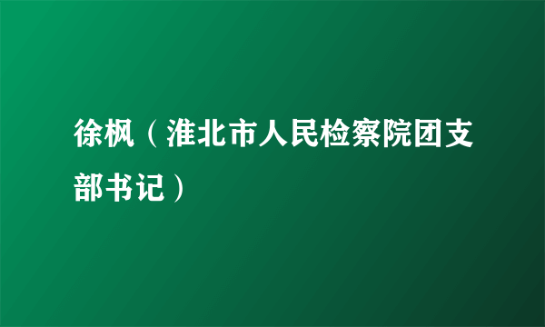 徐枫（淮北市人民检察院团支部书记）
