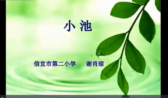 《小池》古诗