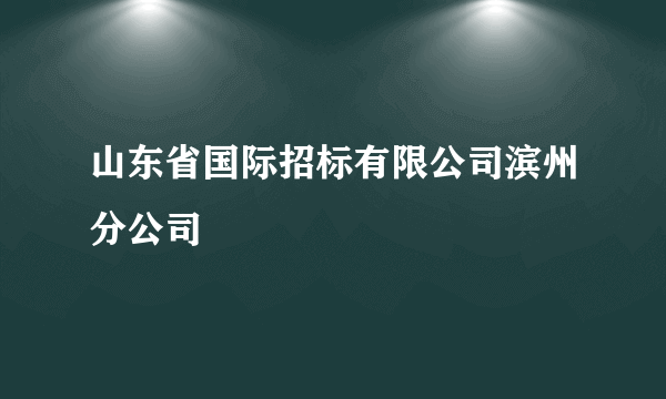 山东省国际招标有限公司滨州分公司