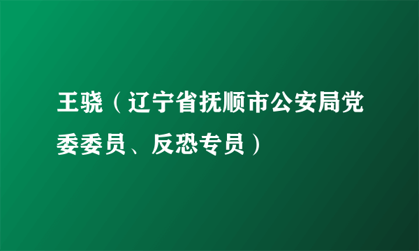 王骁（辽宁省抚顺市公安局党委委员、反恐专员）