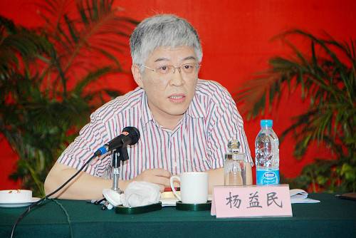 杨益民（税务总局货物和劳务税司司长）