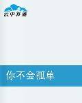 你不会孤单（小说）