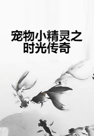 宠物小精灵之时光传奇