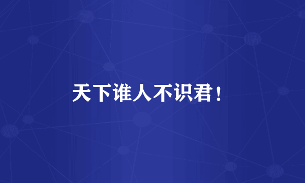 天下谁人不识君！