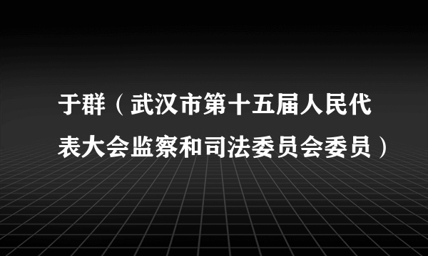 于群（武汉市第十五届人民代表大会监察和司法委员会委员）