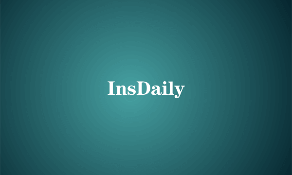 InsDaily