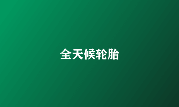 全天候轮胎