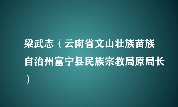 梁武志（云南省文山壮族苗族自治州富宁县民族宗教局原局长）
