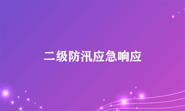 二级防汛应急响应