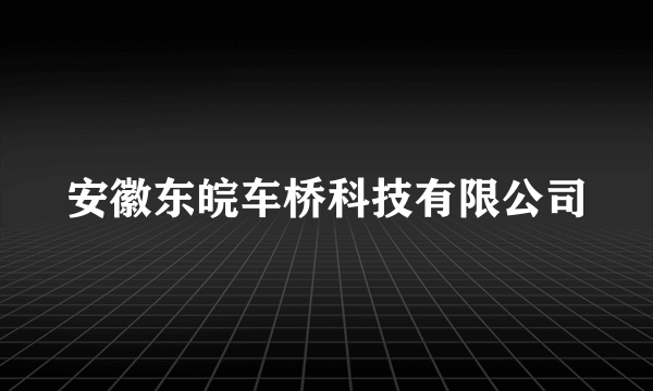 安徽东皖车桥科技有限公司