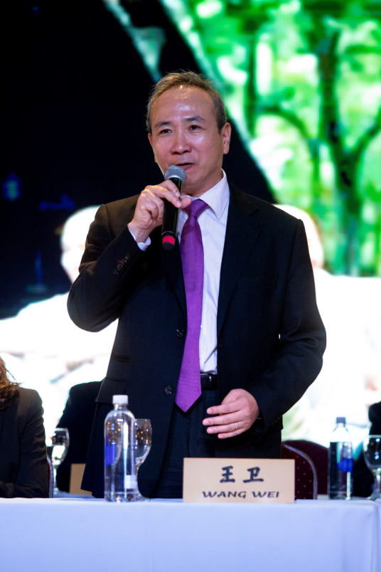 王卫（中华人民共和国驻阿根廷大使馆大使）