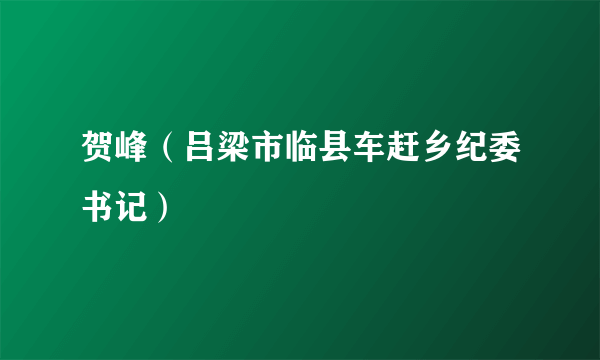 贺峰（吕梁市临县车赶乡纪委书记）