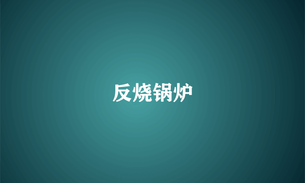 反烧锅炉