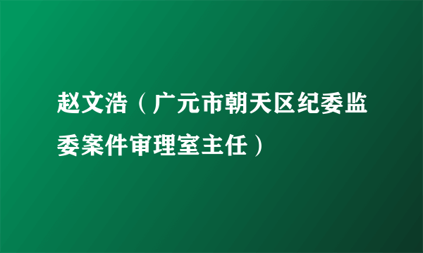 赵文浩（广元市朝天区纪委监委案件审理室主任）