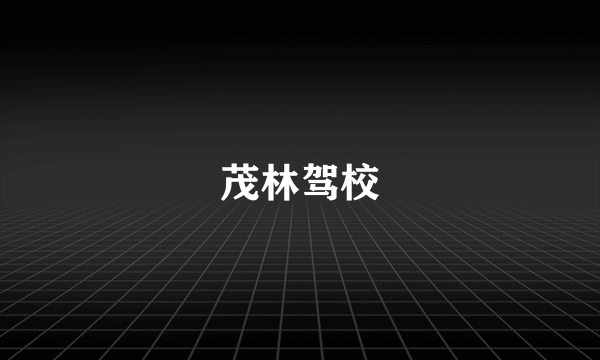 茂林驾校