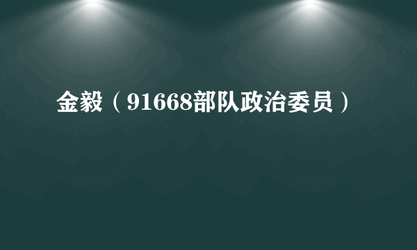 金毅（91668部队政治委员）