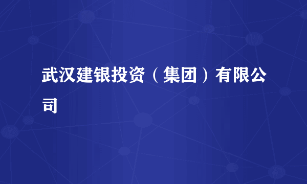 武汉建银投资（集团）有限公司