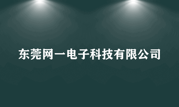 东莞网一电子科技有限公司