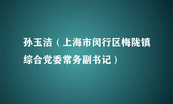 孙玉洁（上海市闵行区梅陇镇综合党委常务副书记）