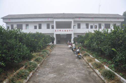 五龙村（湖北省宜昌市夷陵区鸦鹊岭镇五龙村）