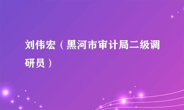 刘伟宏（黑河市审计局二级调研员）