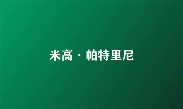 米高·帕特里尼